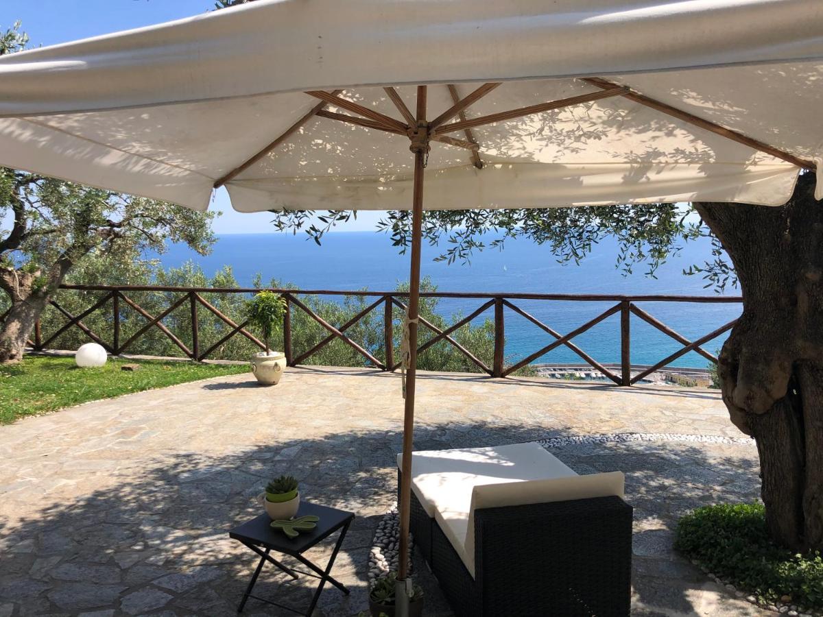 فينالي ليغوري Villa Degli Ulivi B&B المظهر الخارجي الصورة